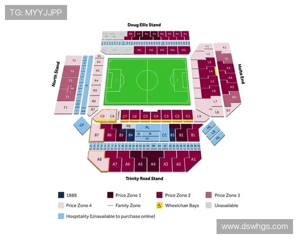 伯明翰足球俱乐部历史沿革与发展现状分析 伯明翰足球俱乐部历史沿革与发展现状分析