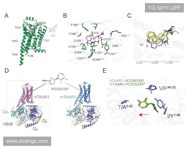 英雄联盟世界赛队伍产生机制解析及晋级路径全解析 英雄联盟世界赛队伍产生机制解析及晋级路径全解析